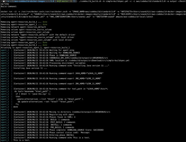 aws codebuild test run output from a local Docker container.